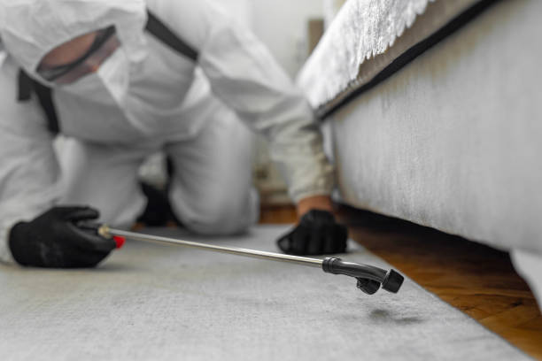 Professional Bed Bug Control technician working in Yreka, CA