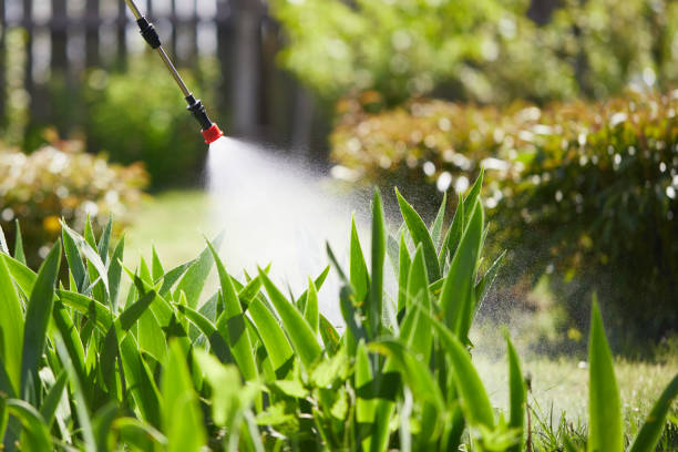 24/7 Emergency Bed Bug Control experts in Yreka, CA