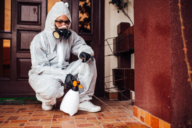 Reliable Bed Bug Control contractor in Yreka, CA by Nex Pest Control